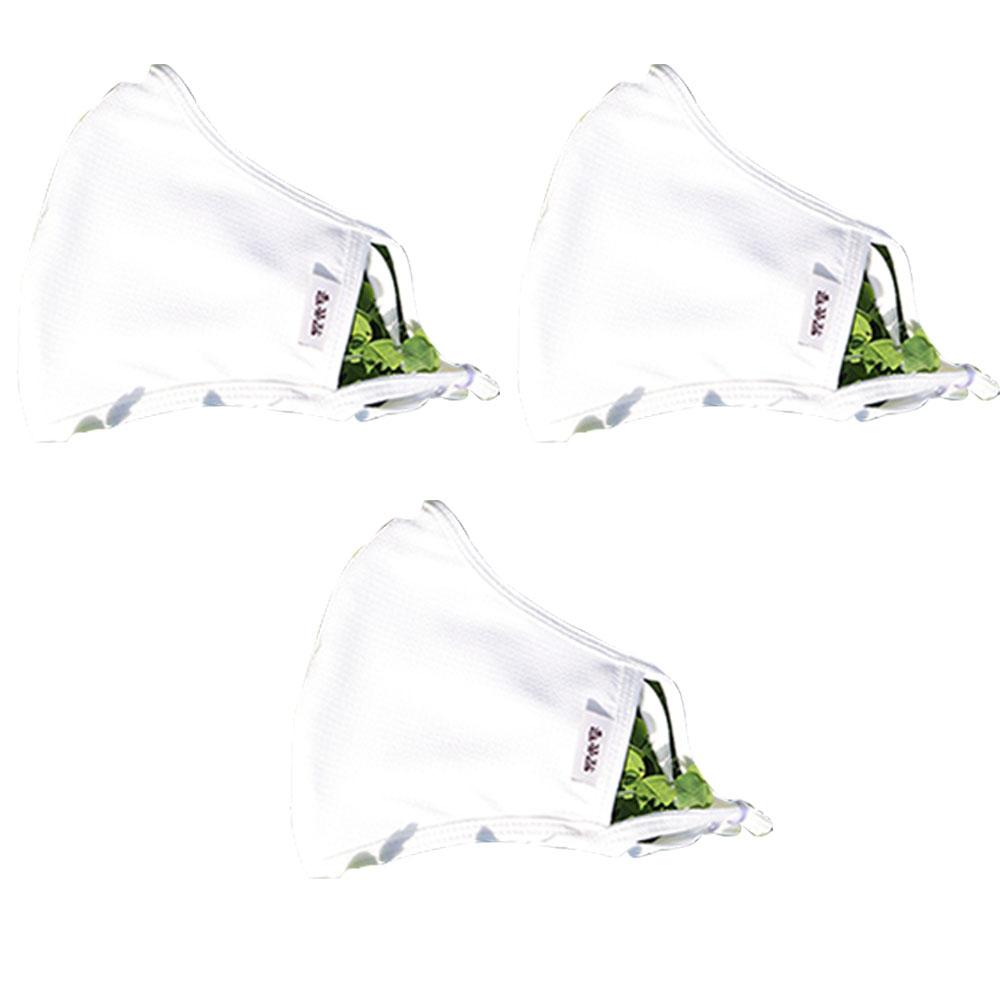 In Gyeon Daemaru Mask